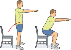 Bodyweight exercises at home - progressions - OPTIMUM EXERCISE PHYSIOLOGY